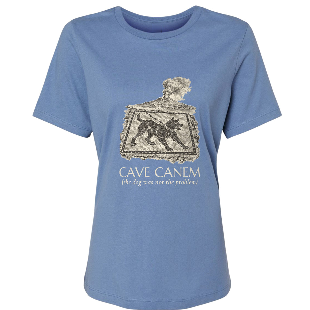 Cave Canem The Dog Was Not The Problem Women's T-Shirt