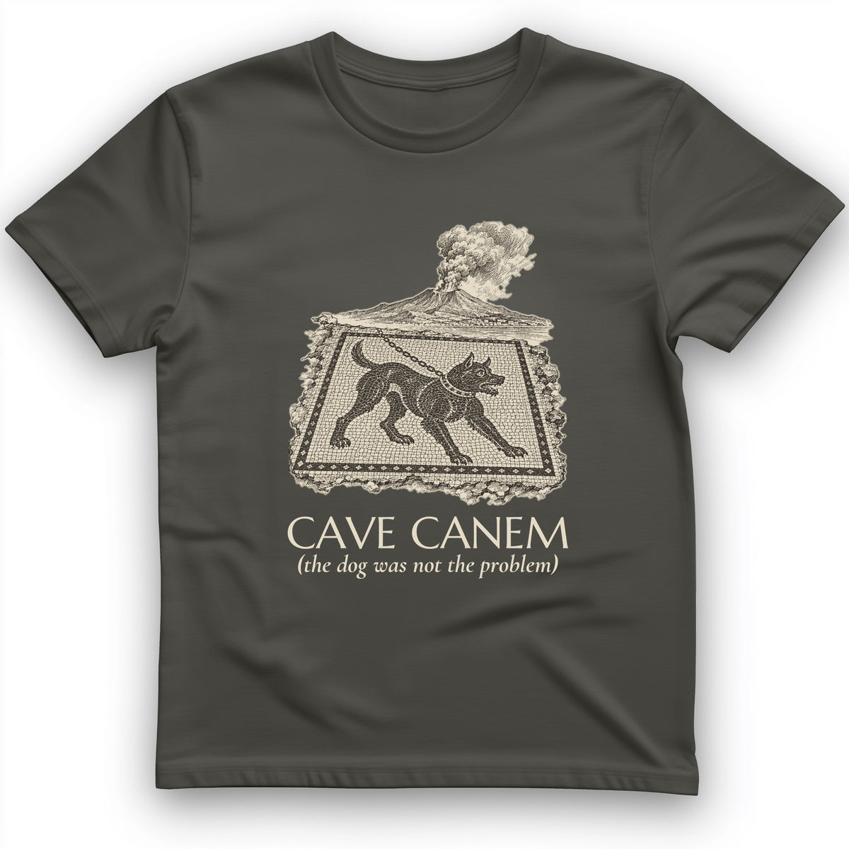 Cave Canem The Dog Was Not The Problem T-Shirt