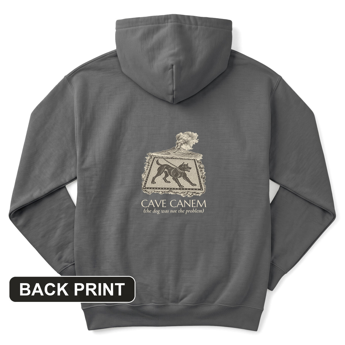 Cave Canem The Dog Was Not The Problem Back Print Hoodie