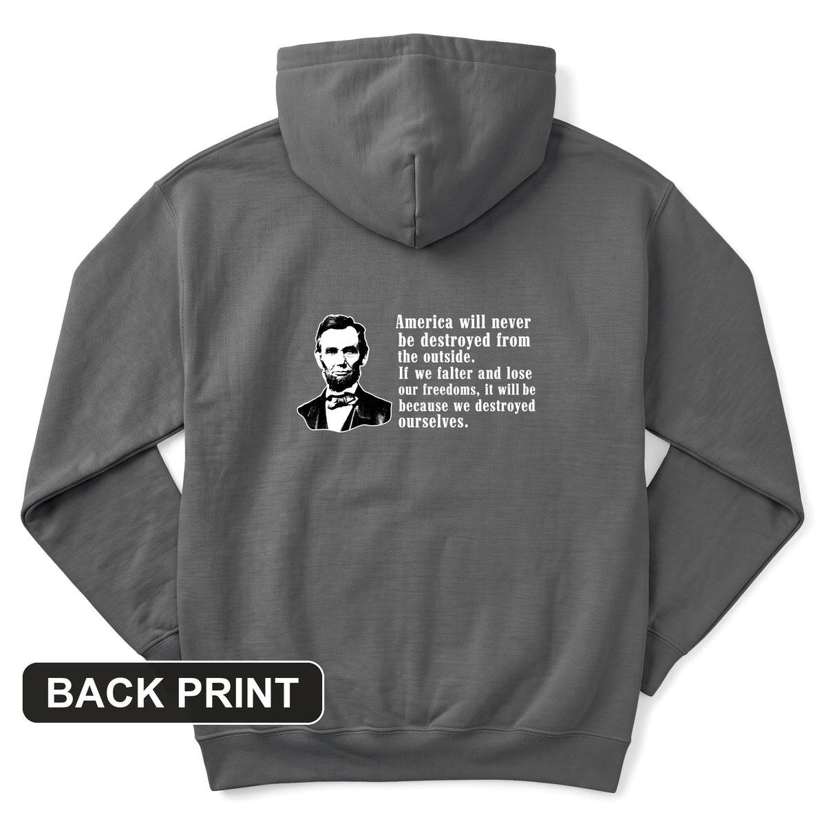 Destroyed Ourselves Lincoln Back Print Hoodie
