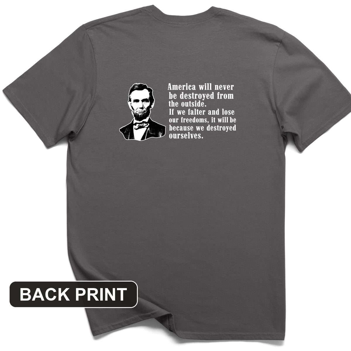 Destroyed Ourselves Lincoln Back Print T-Shirt