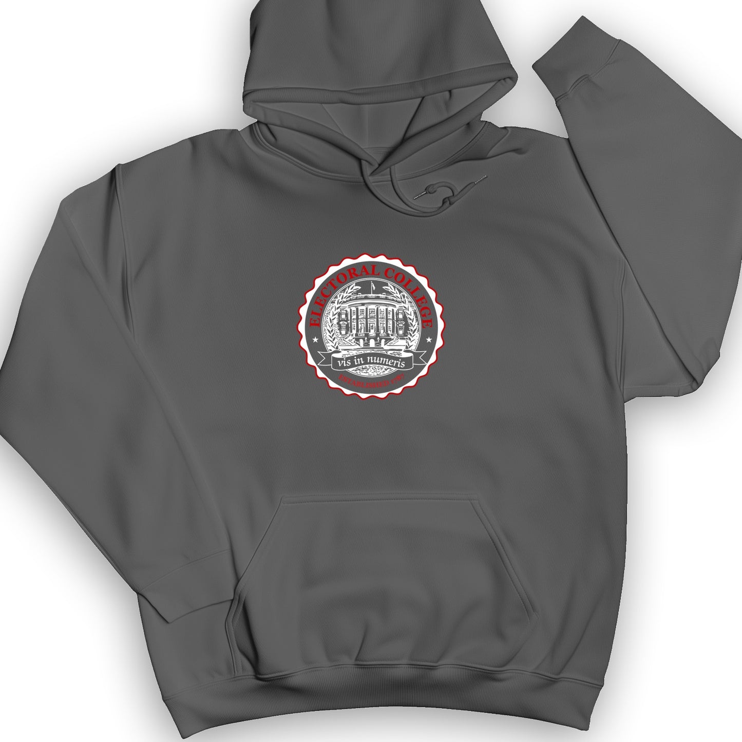 Electoral College Hoodie