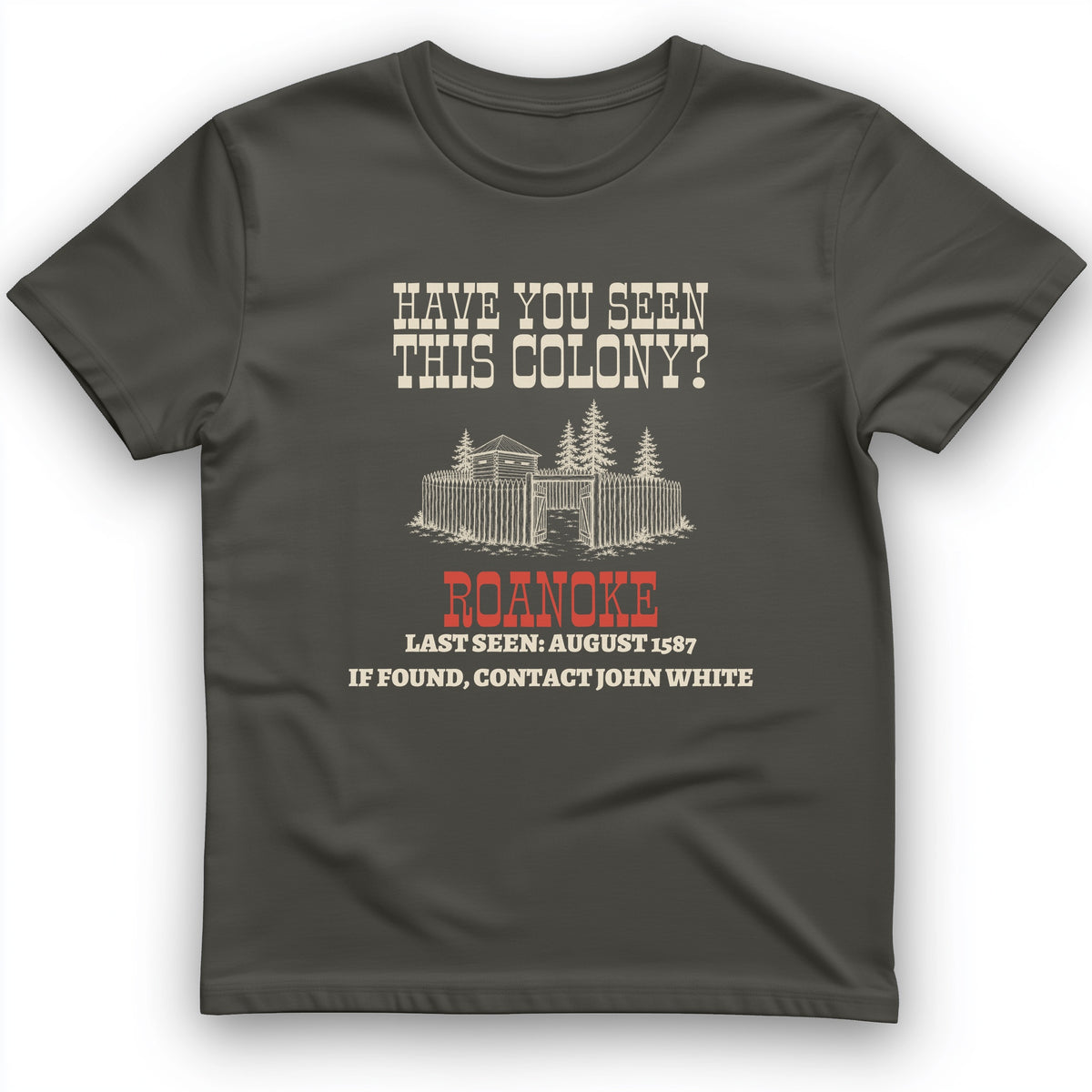 Have You Seen This Colony Roanoke T-Shirt