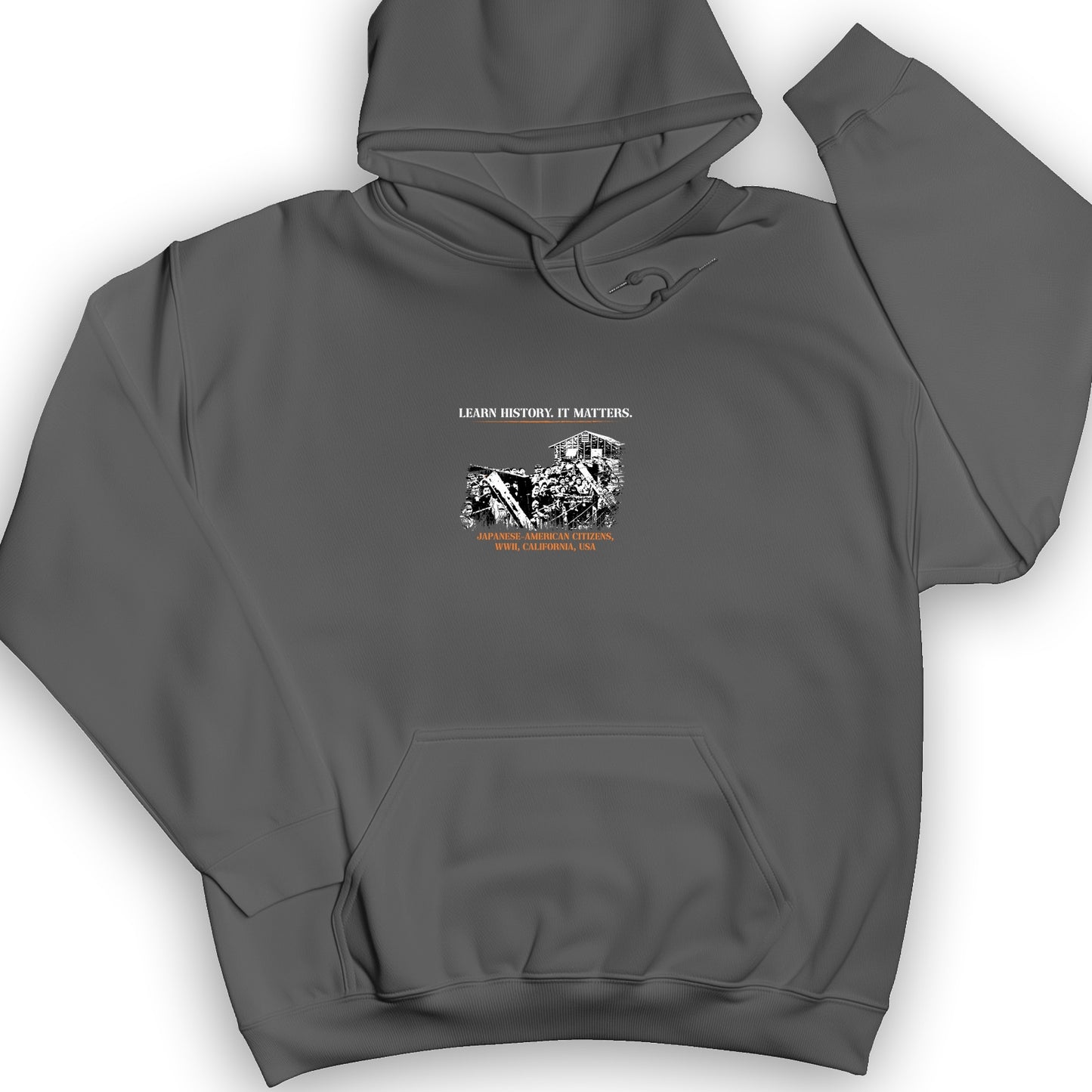 Learn History It Matters Hoodie
