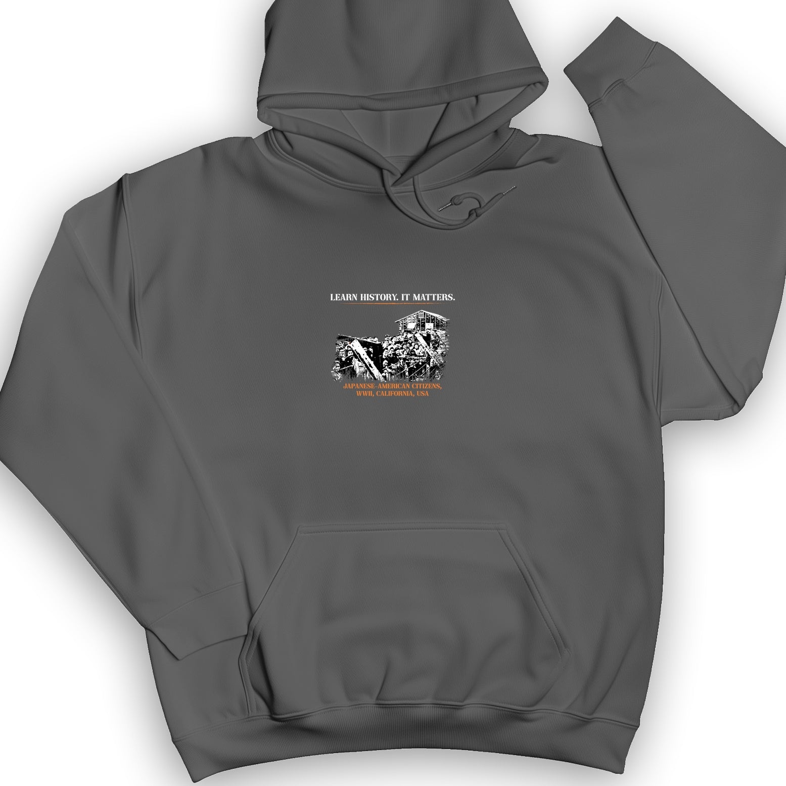 Learn History It Matters Hoodie
