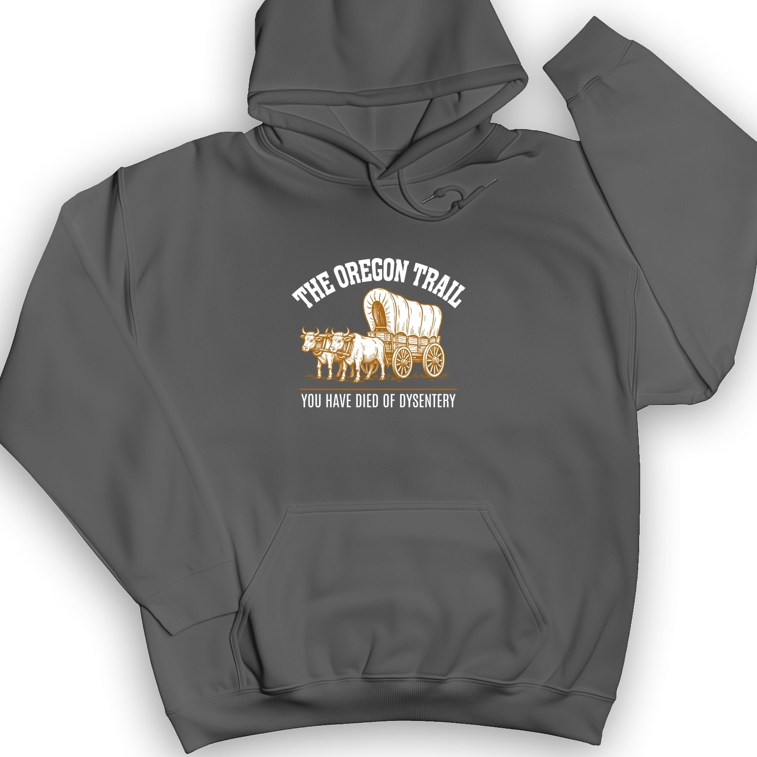 Oregon Trail Dysentery Hoodie