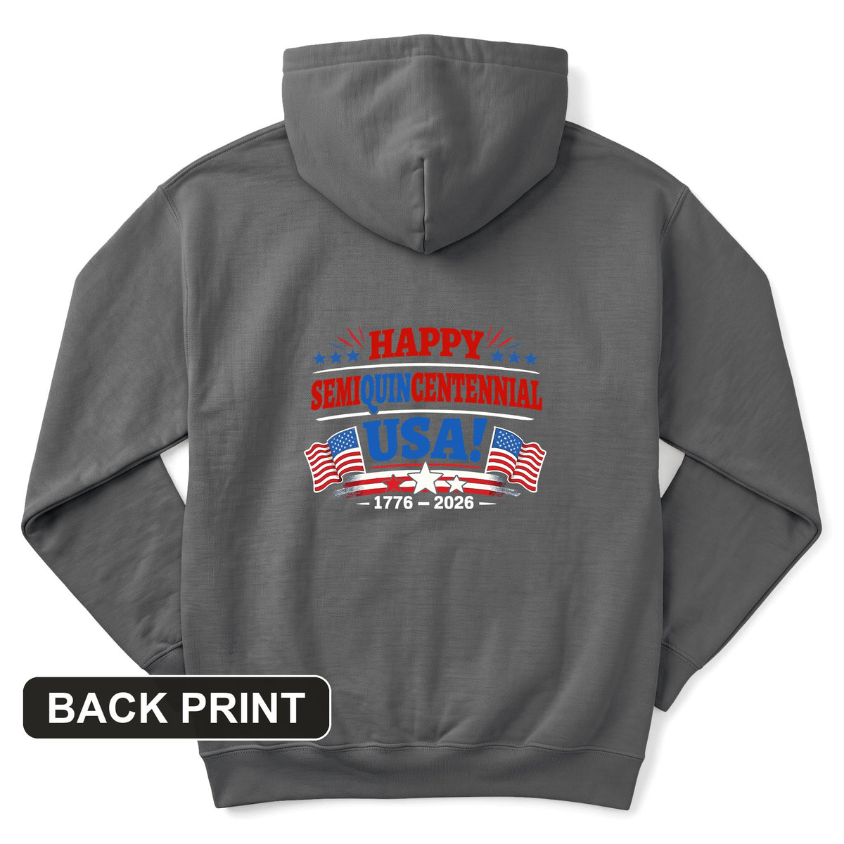Semiquincentennial Back Print Hoodie