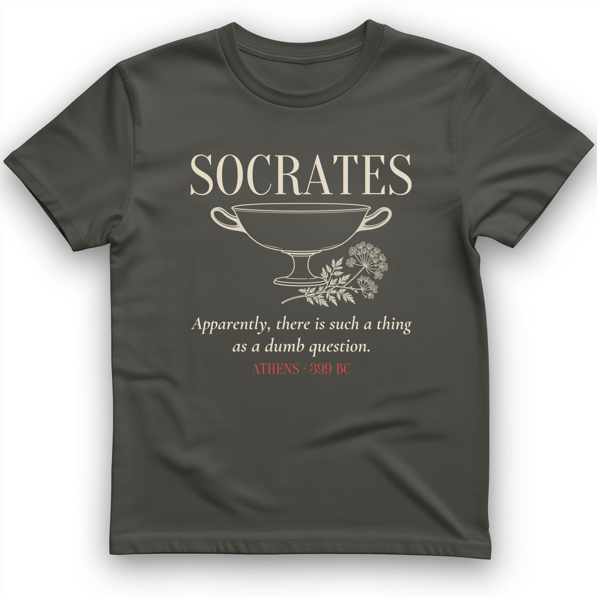 Socrates Dumb Question T-Shirt