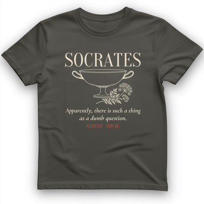 Socrates Dumb Question T-Shirt