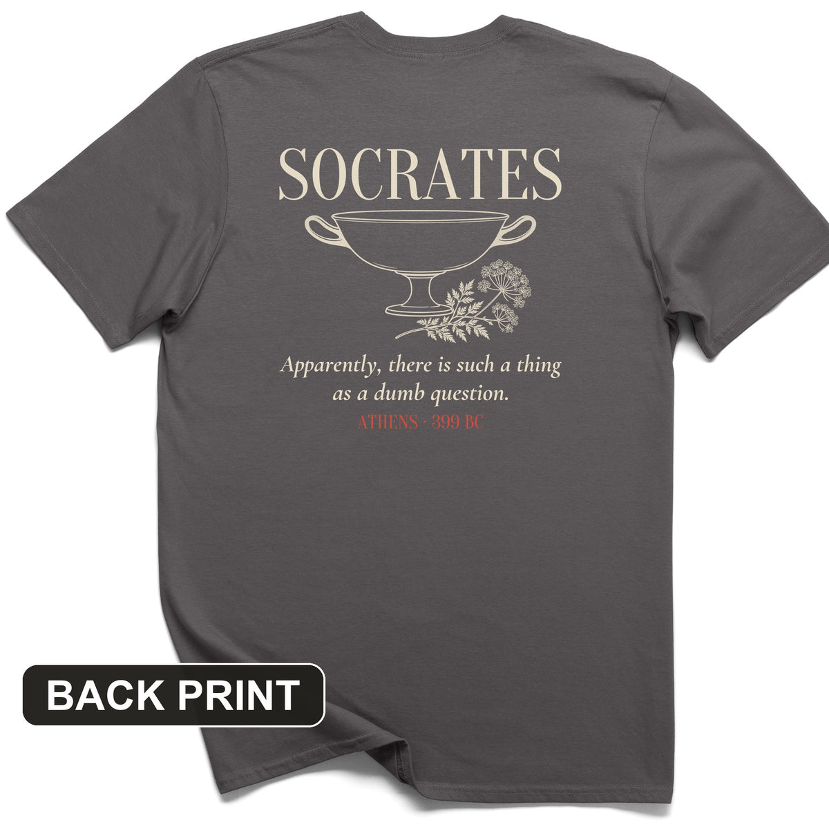 Socrates Dumb Question Back Print T-Shirt