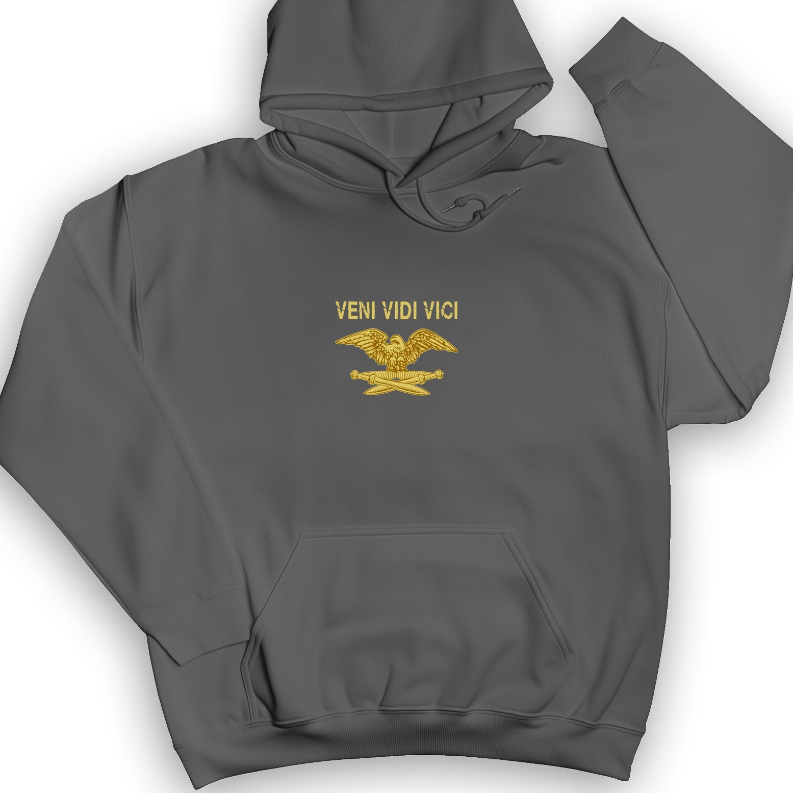 Veni Vidi Vici Hoodie
