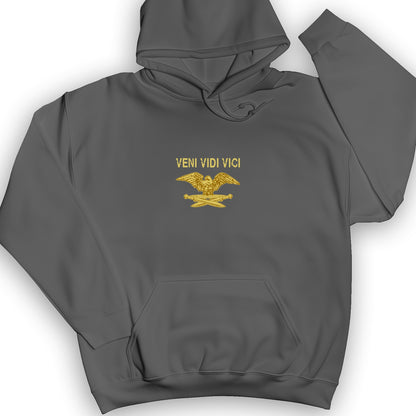 Veni Vidi Vici Hoodie