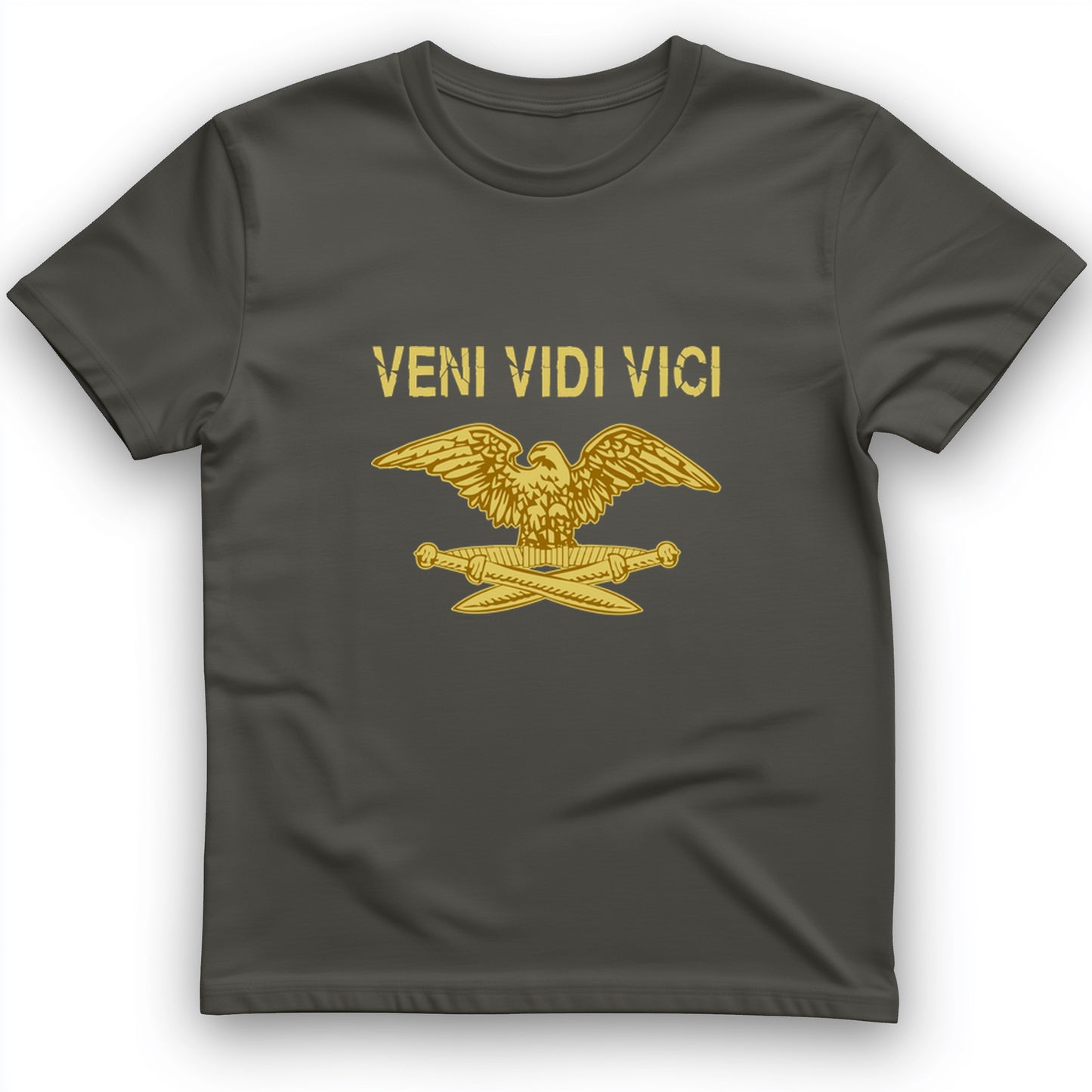 Veni Vidi Vici T-Shirt