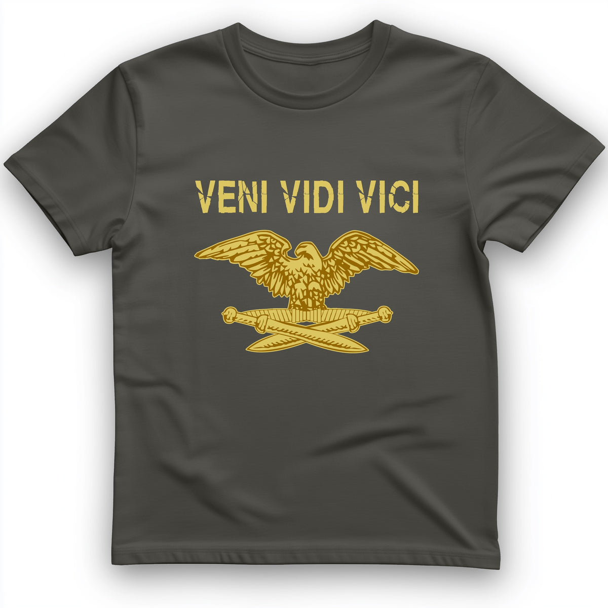 Veni Vidi Vici T-Shirt