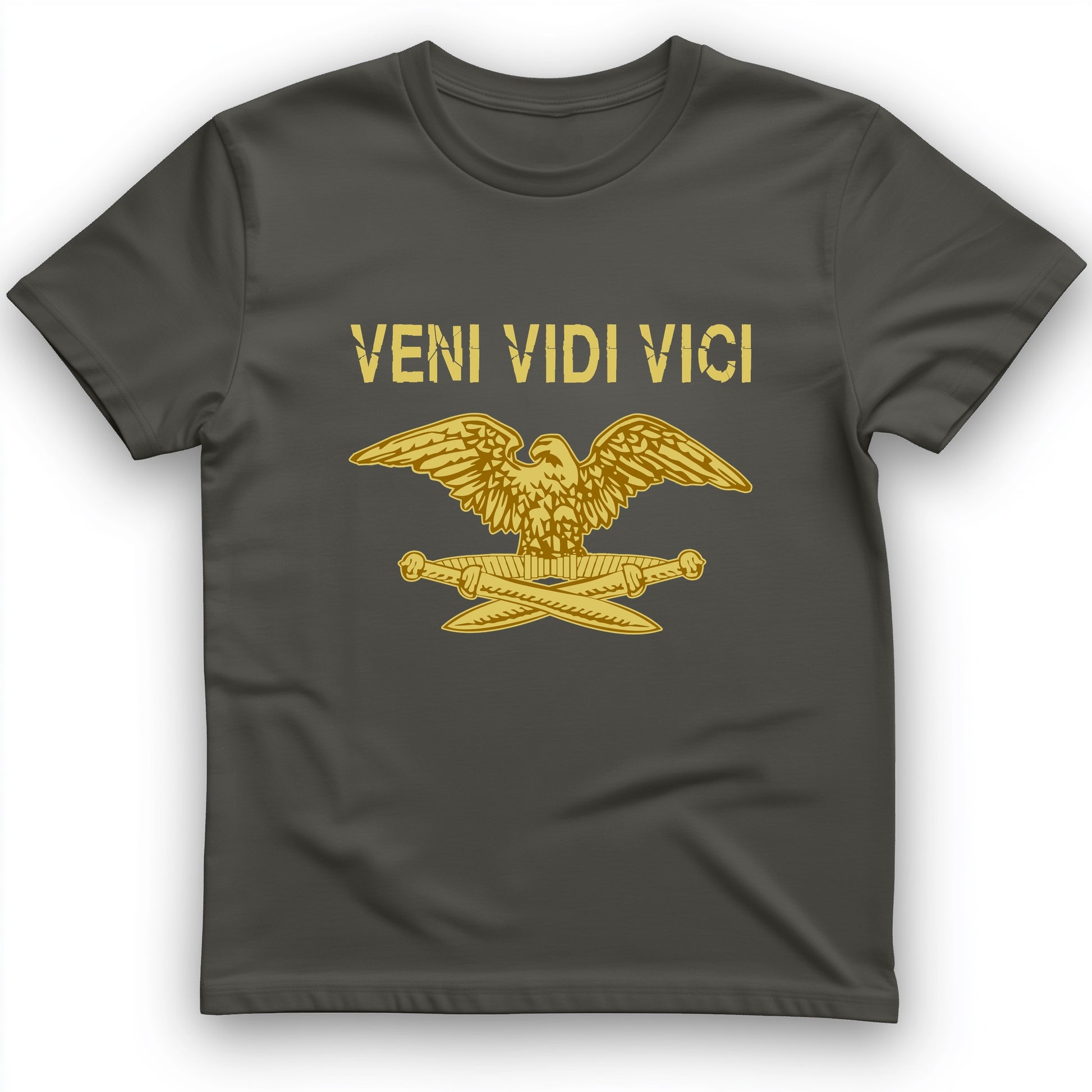 Veni Vidi Vici T-Shirt