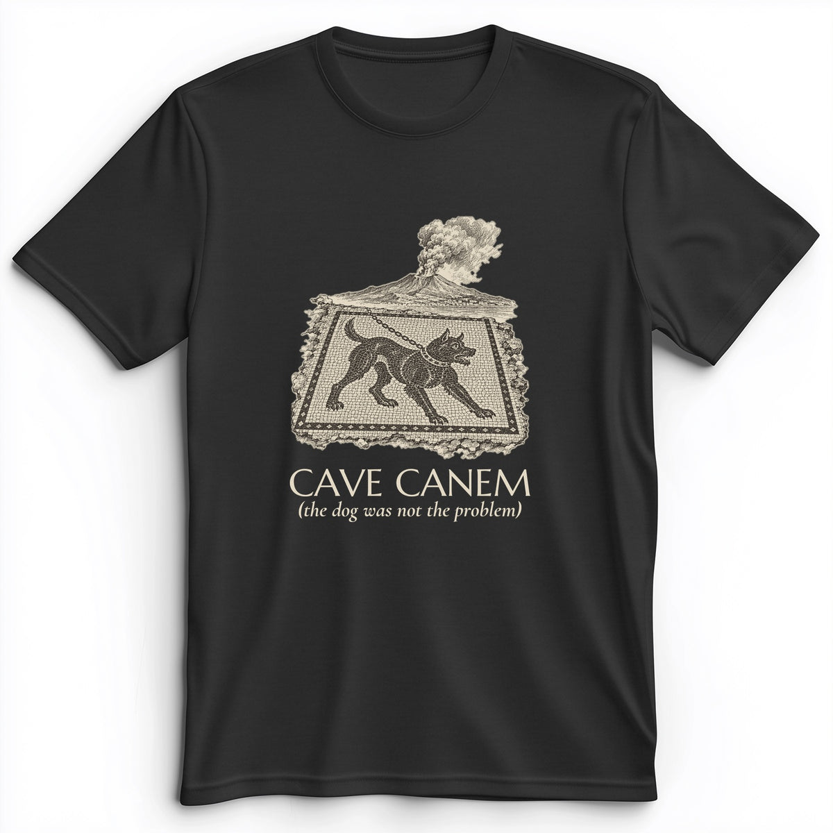 Cave Canem The Dog Was Not The Problem Premium Tee