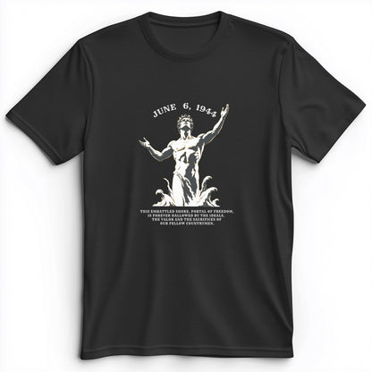 Dday Statue Premium Tee