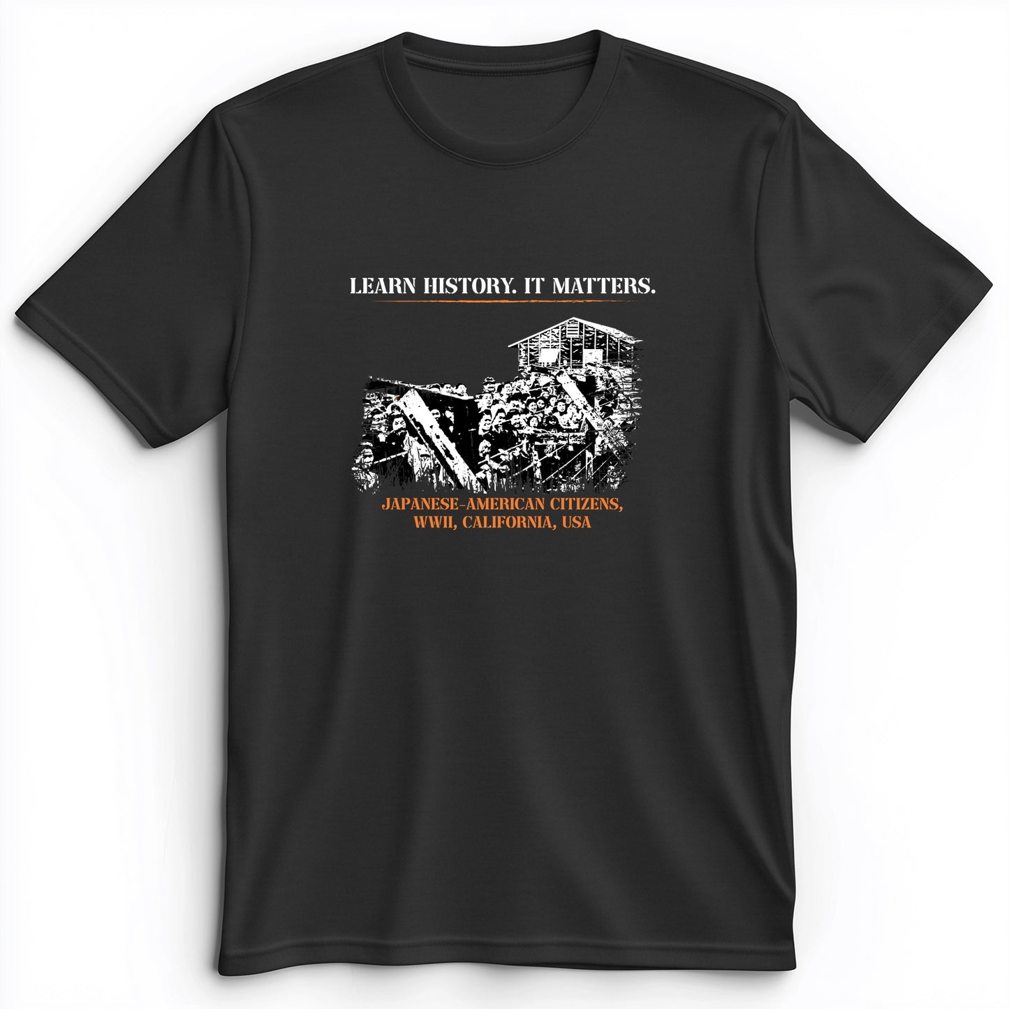 Learn History It Matters Premium Tee
