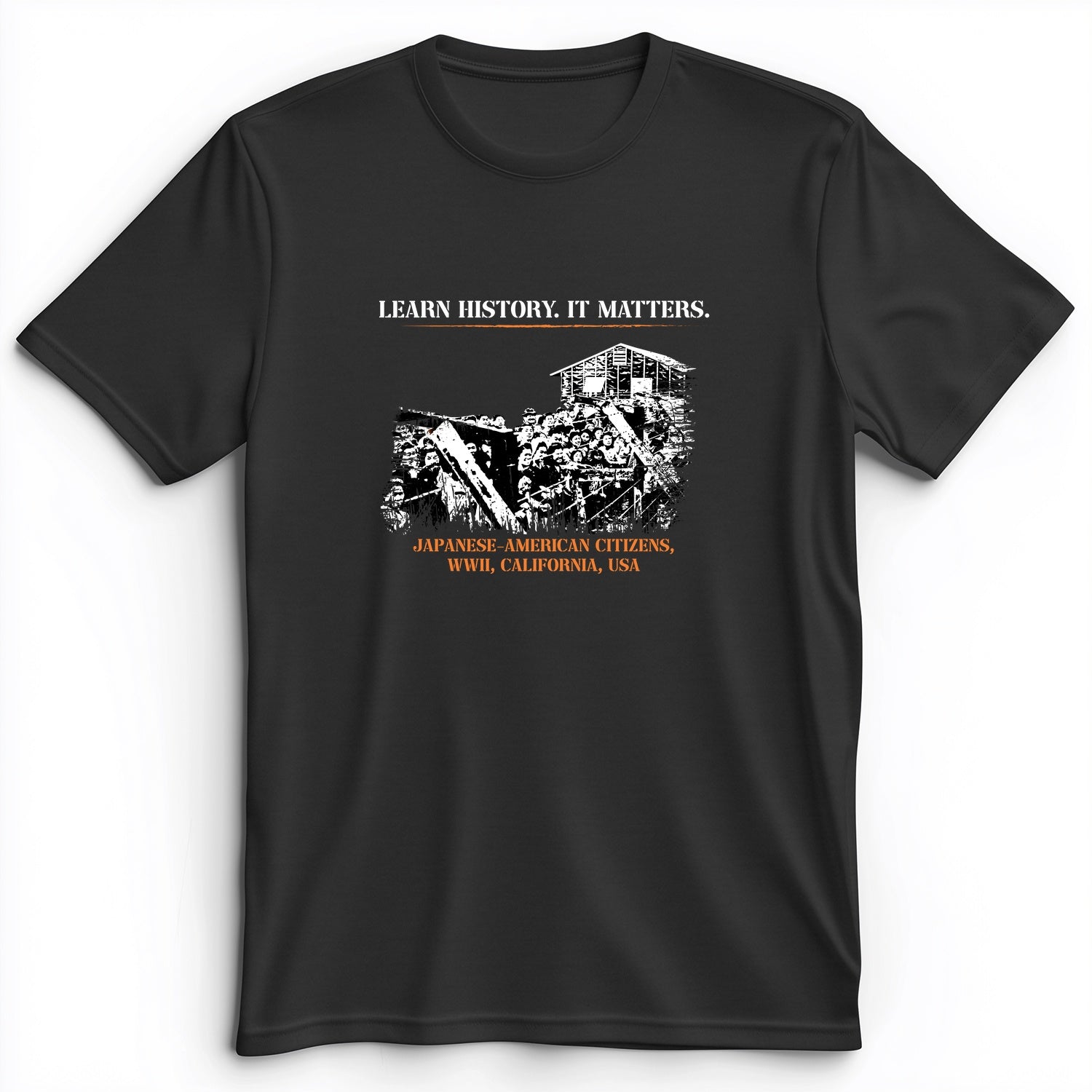 Learn History It Matters Premium Tee