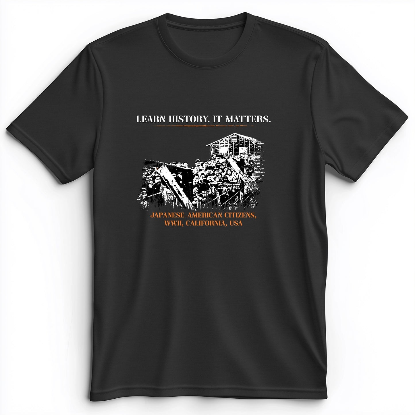 Learn History It Matters Premium Tee