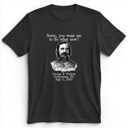 Pickett Do What Now Premium Tee