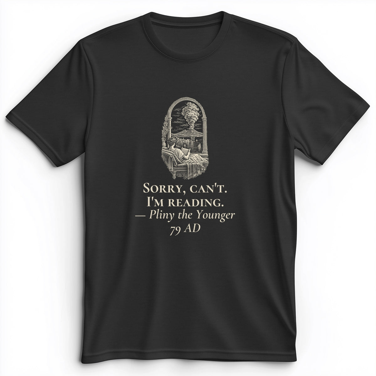 Pliny Sorry Cant Im Reading Premium Tee