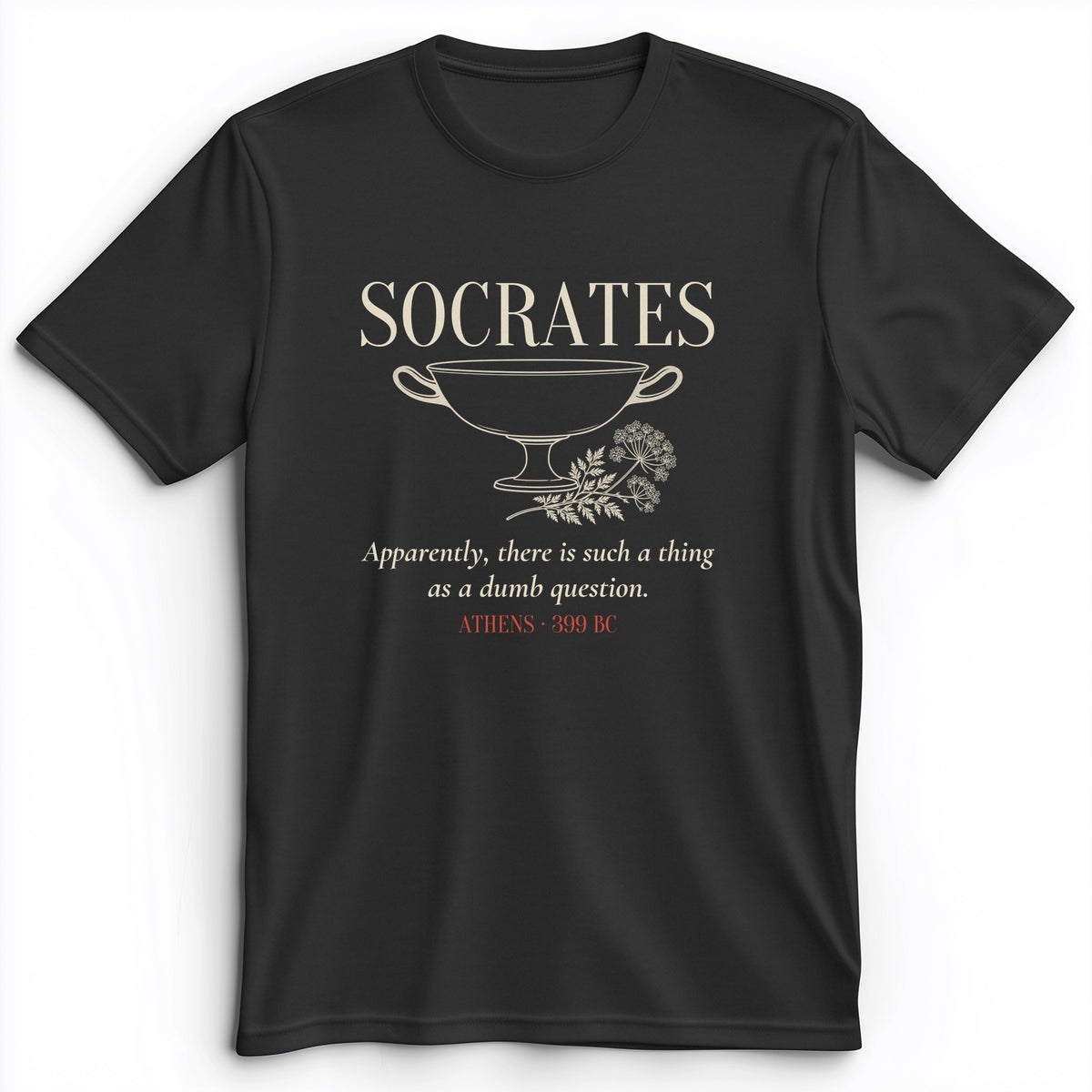 Socrates Dumb Question Premium Tee