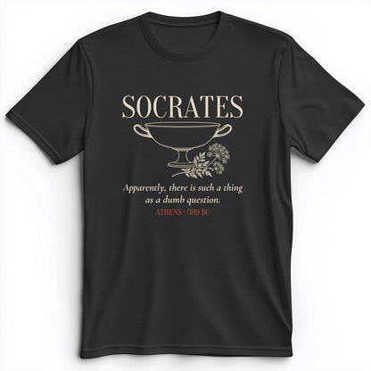 Socrates Dumb Question Premium Tee