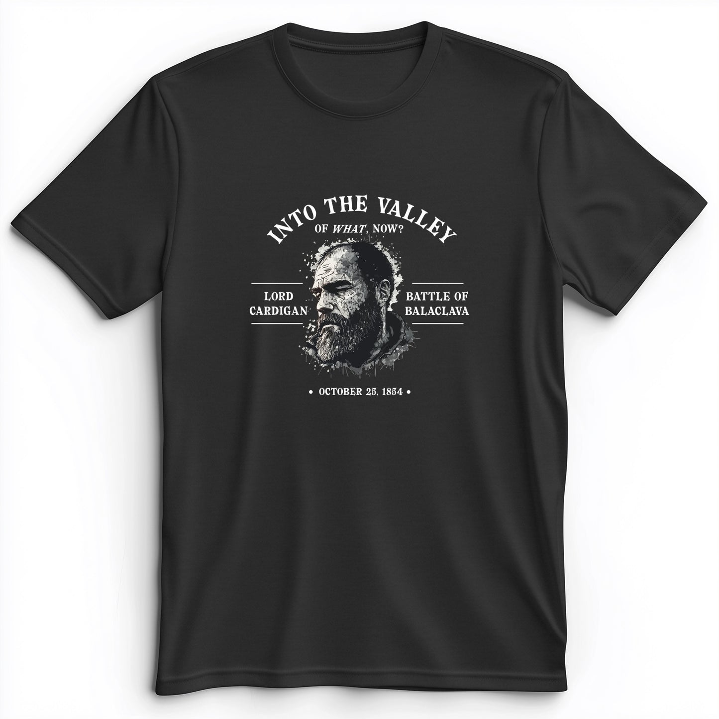 Valley Of What Now Premium Tee
