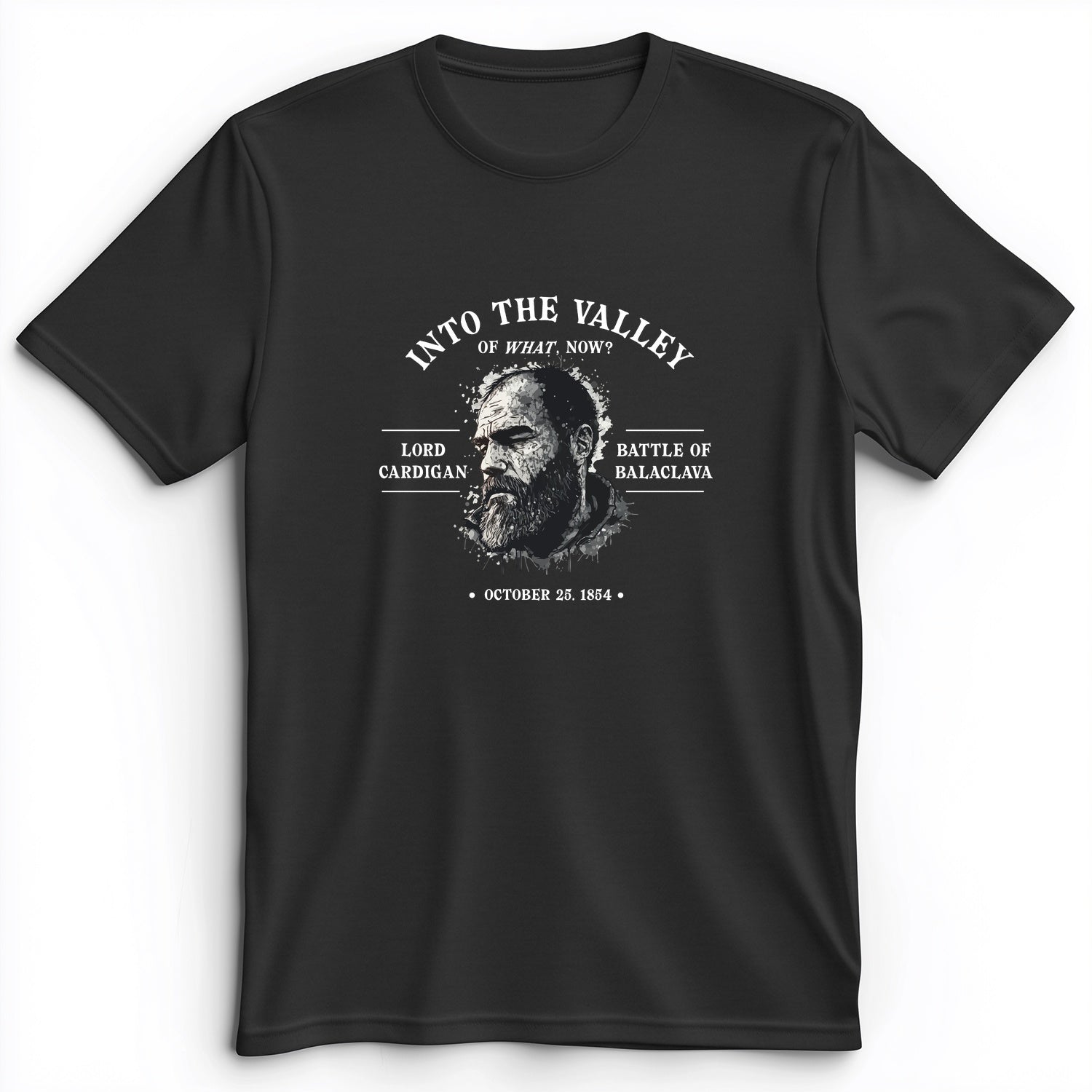 Valley Of What Now Premium Tee