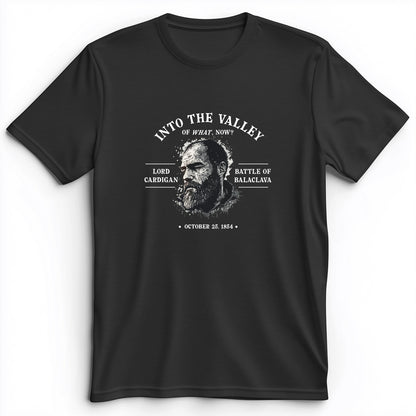 Valley Of What Now Premium Tee