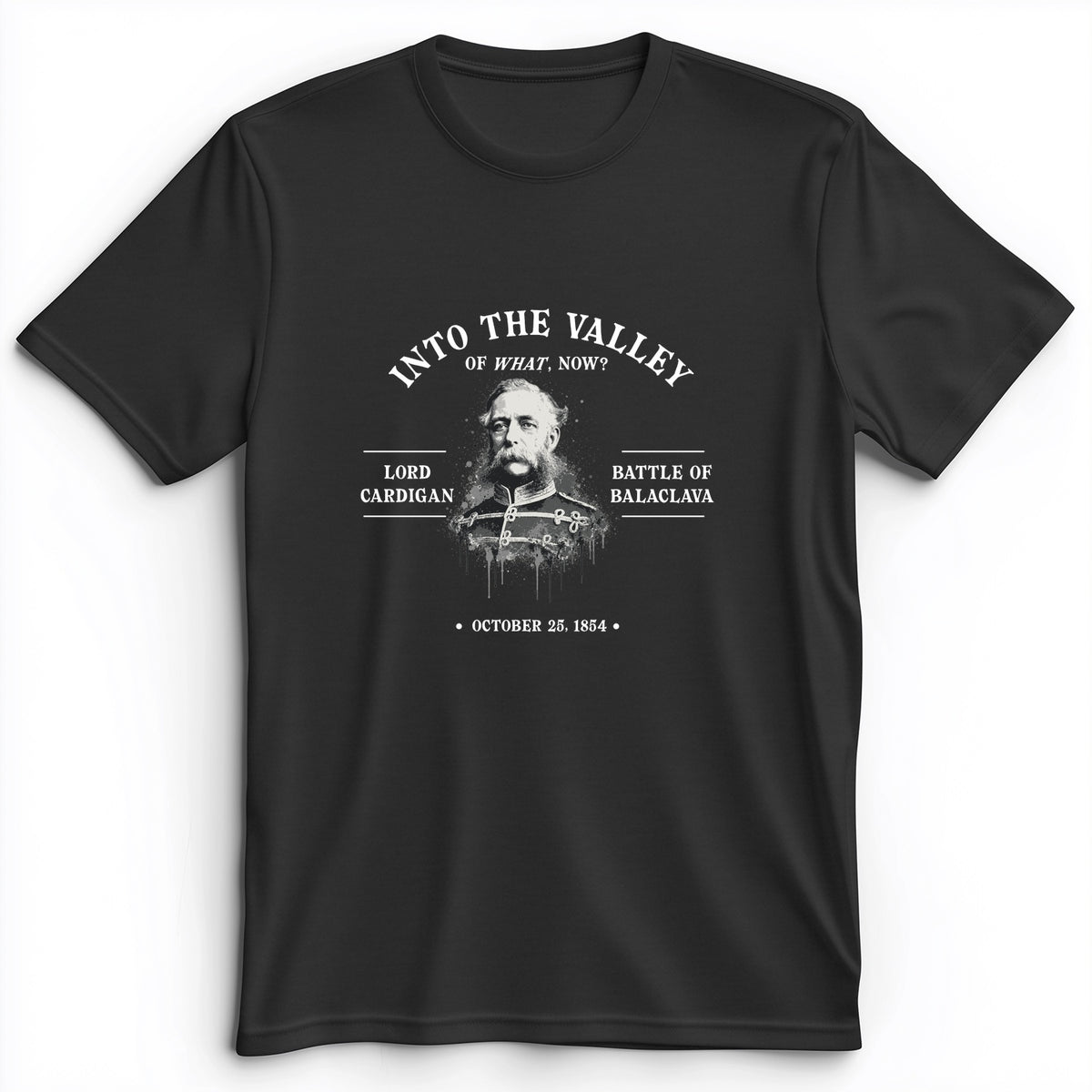 Valley Of What Now Premium Tee