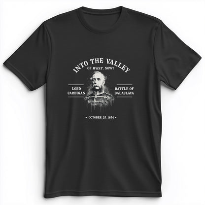Valley Of What Now Premium Tee