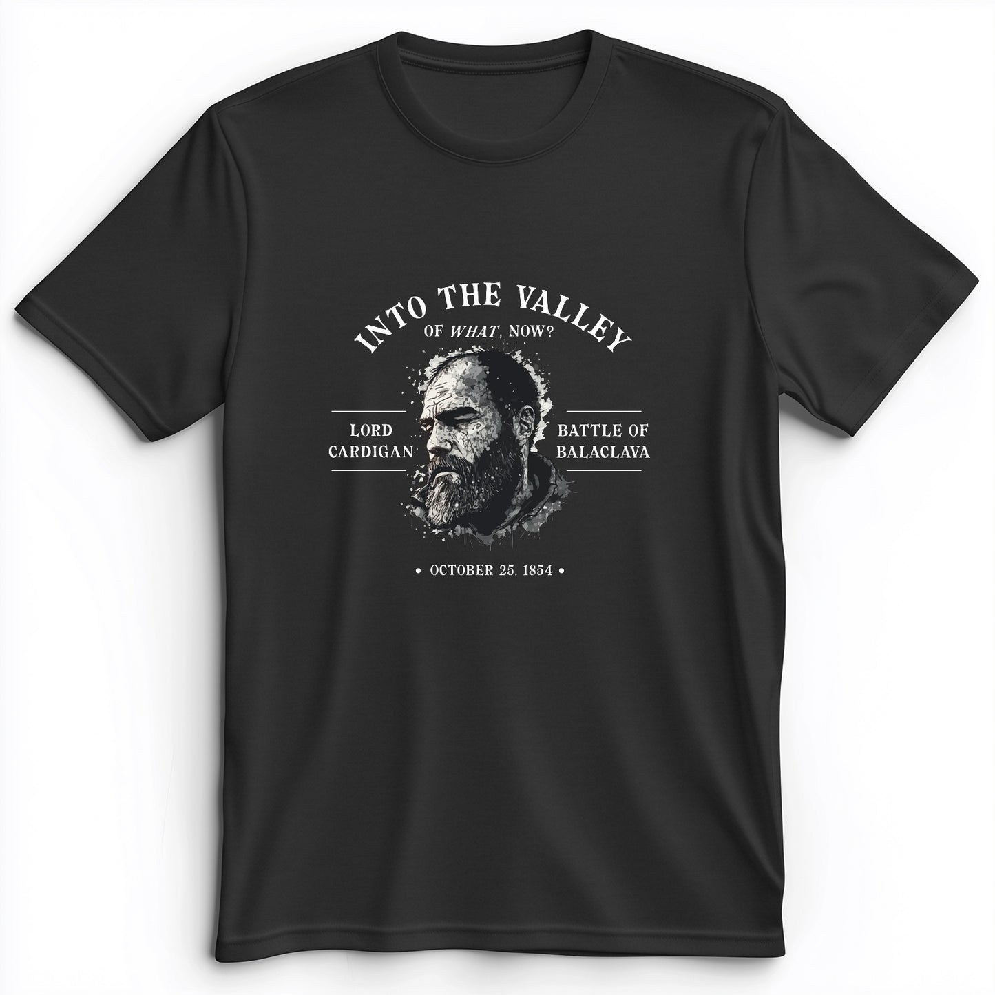 Valley Of What Now Premium Tee