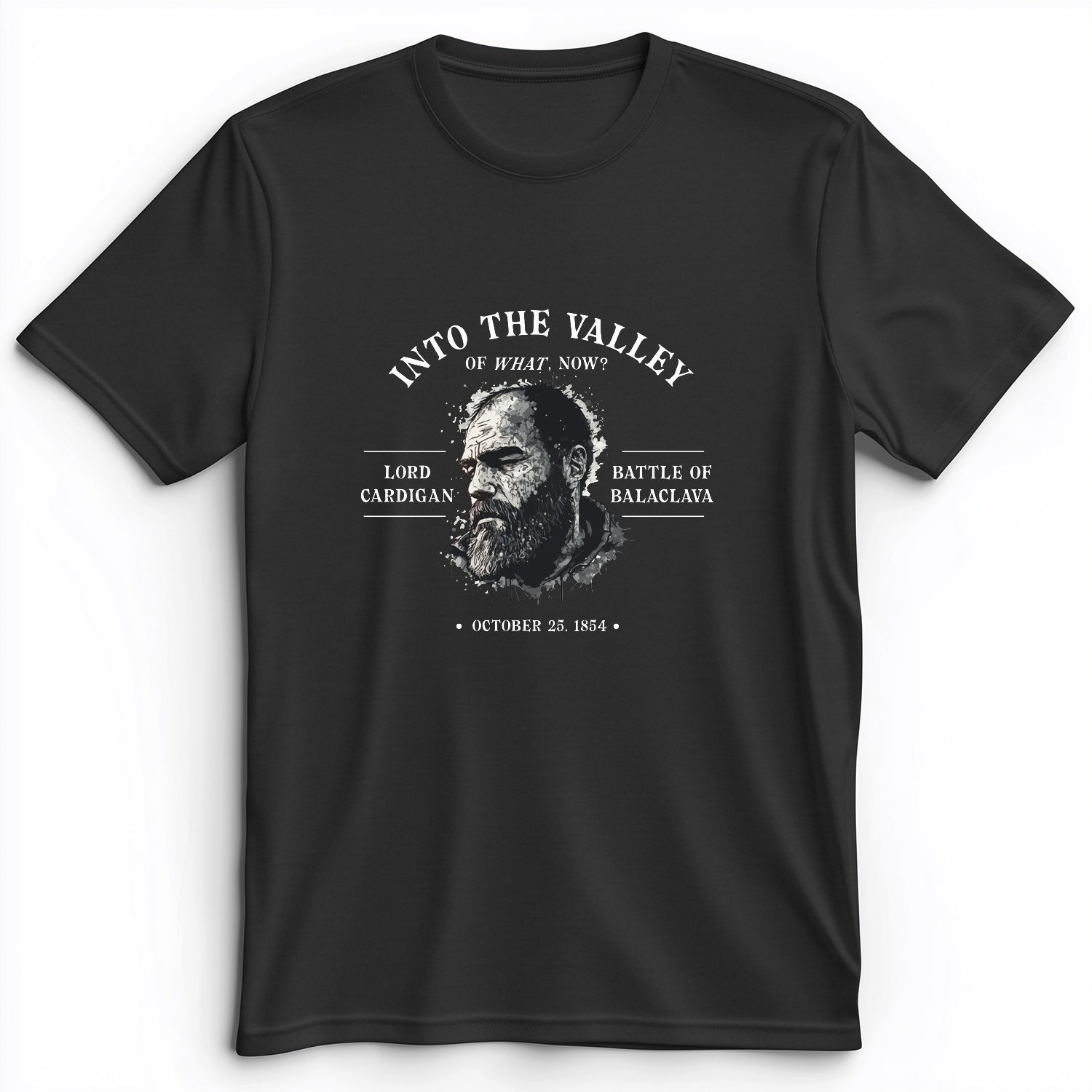 Valley Of What Now Premium Tee