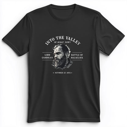 Valley Of What Now Premium Tee