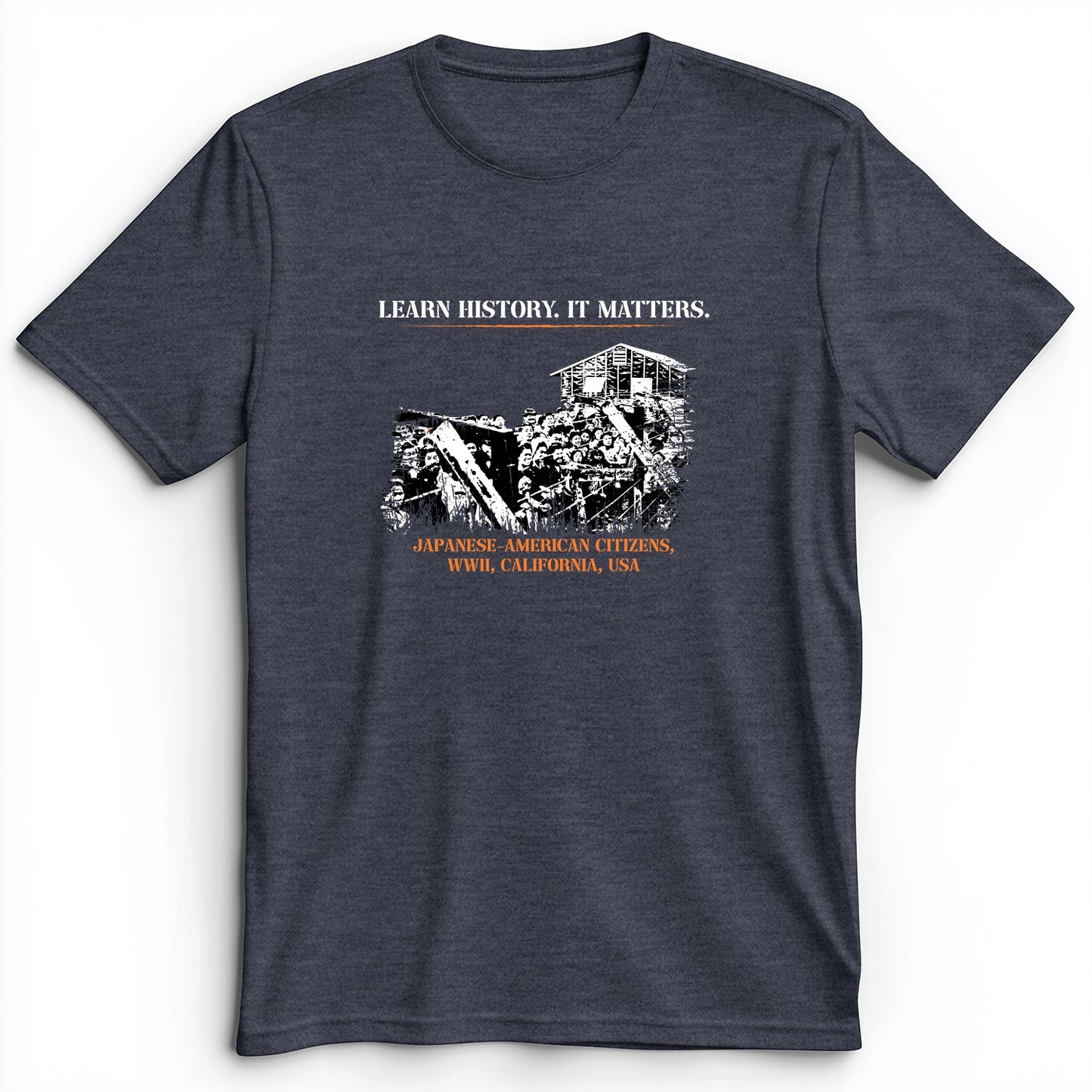 Learn History It Matters Premium Tee