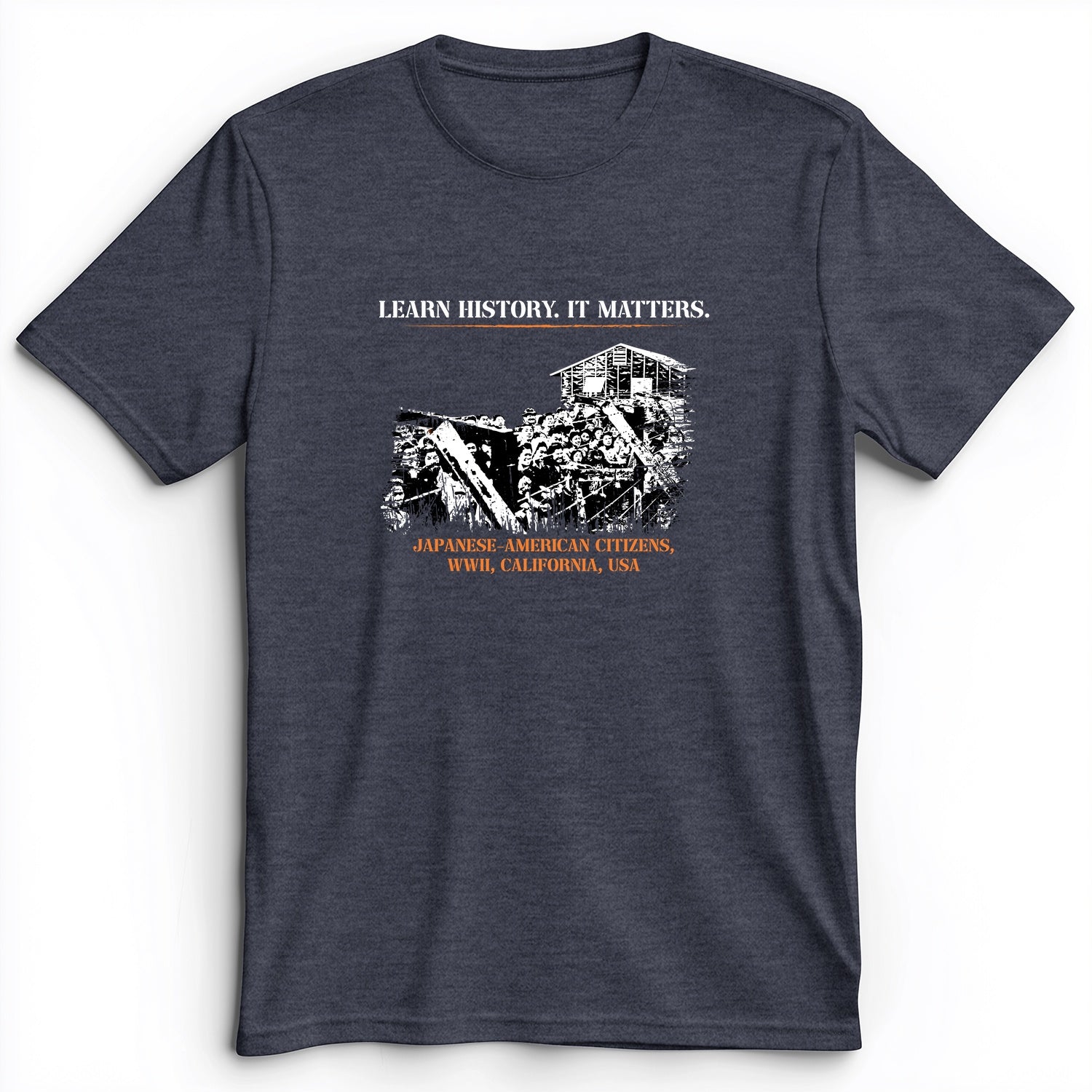 Learn History It Matters Premium Tee