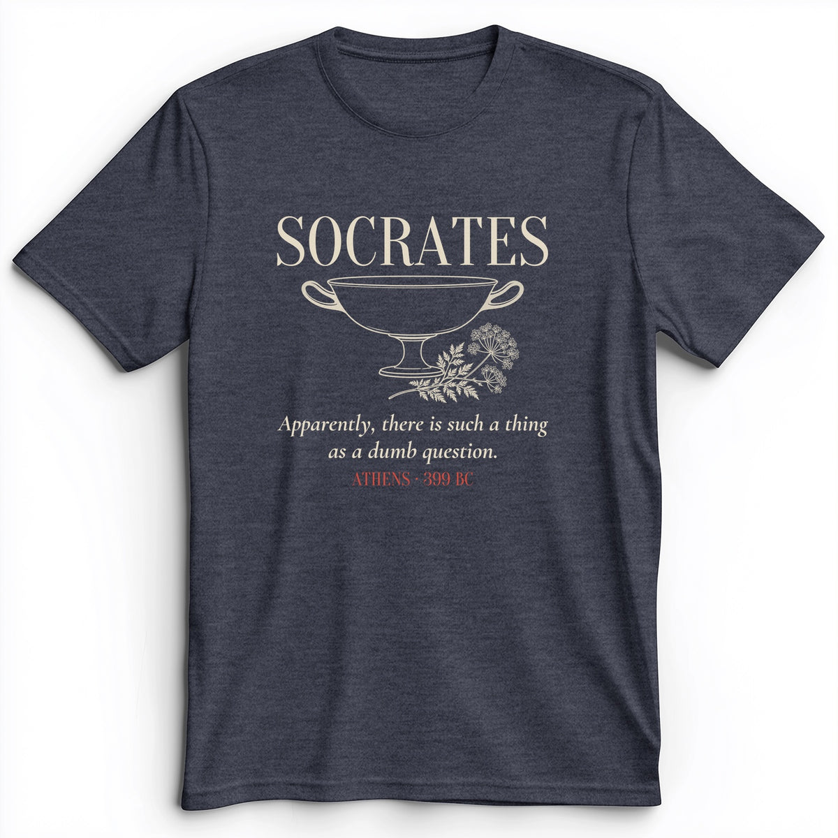 Socrates Dumb Question Premium Tee