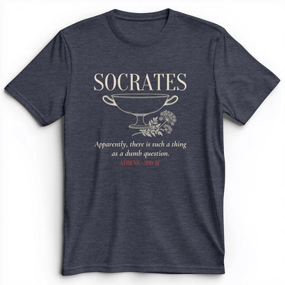 Socrates Dumb Question Premium Tee