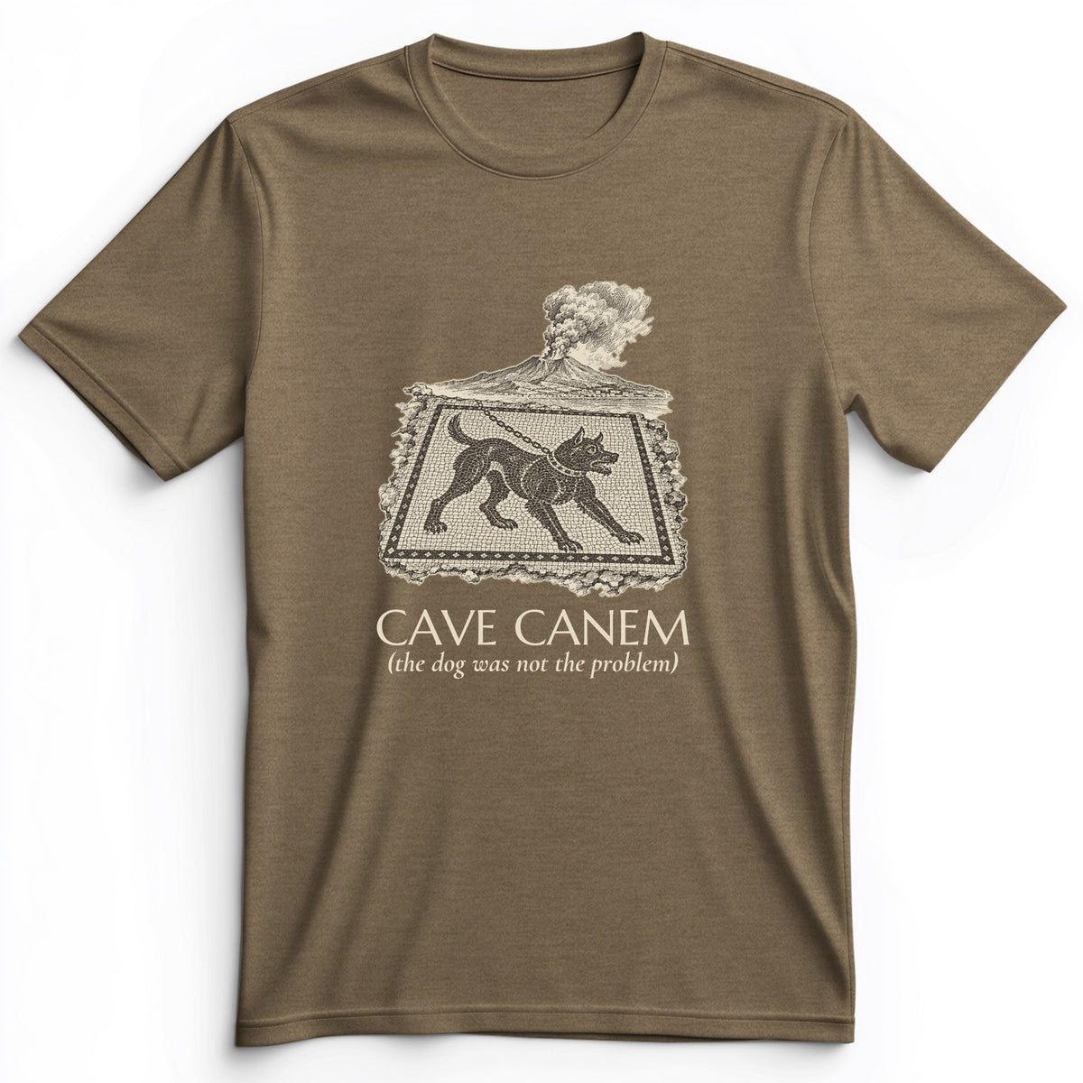 Cave Canem The Dog Was Not The Problem Premium Tee