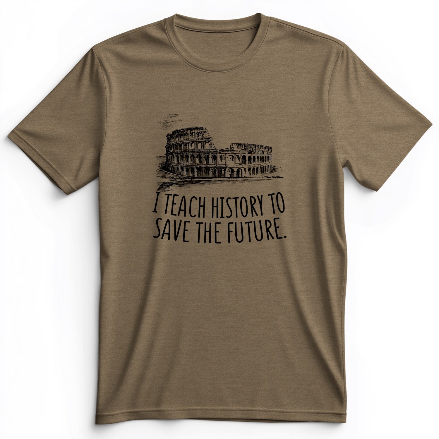 I Teach History To Save The Future Premium Tee