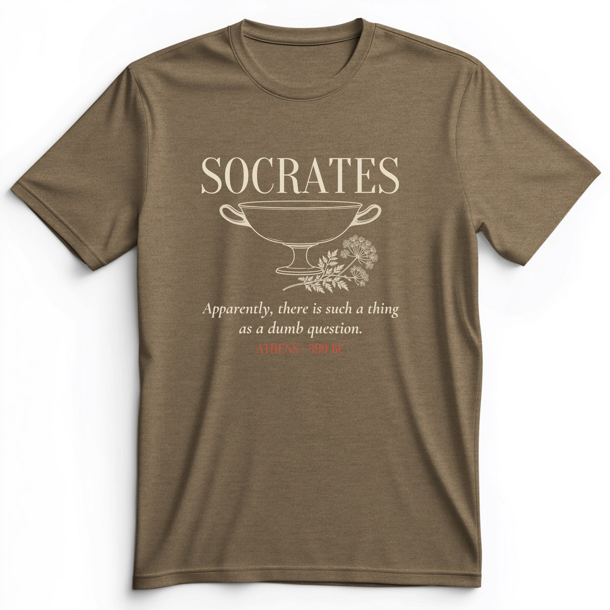 Socrates Dumb Question Premium Tee