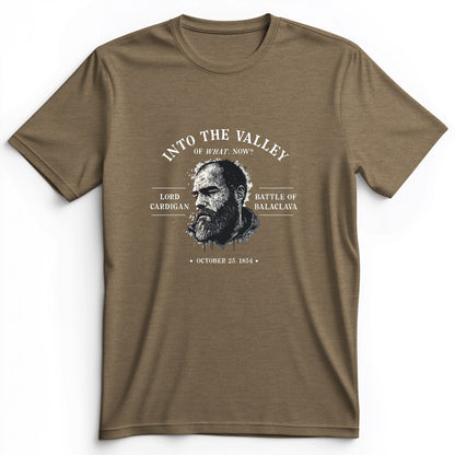 Valley Of What Now Premium Tee