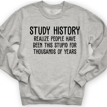 Study History Crewneck