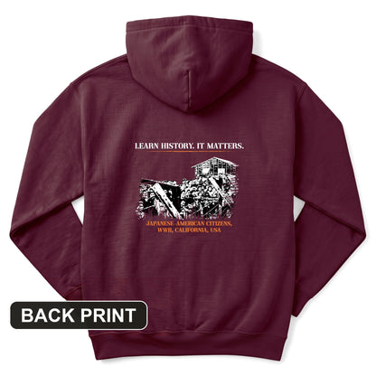 Learn History It Matters Back Print Hoodie