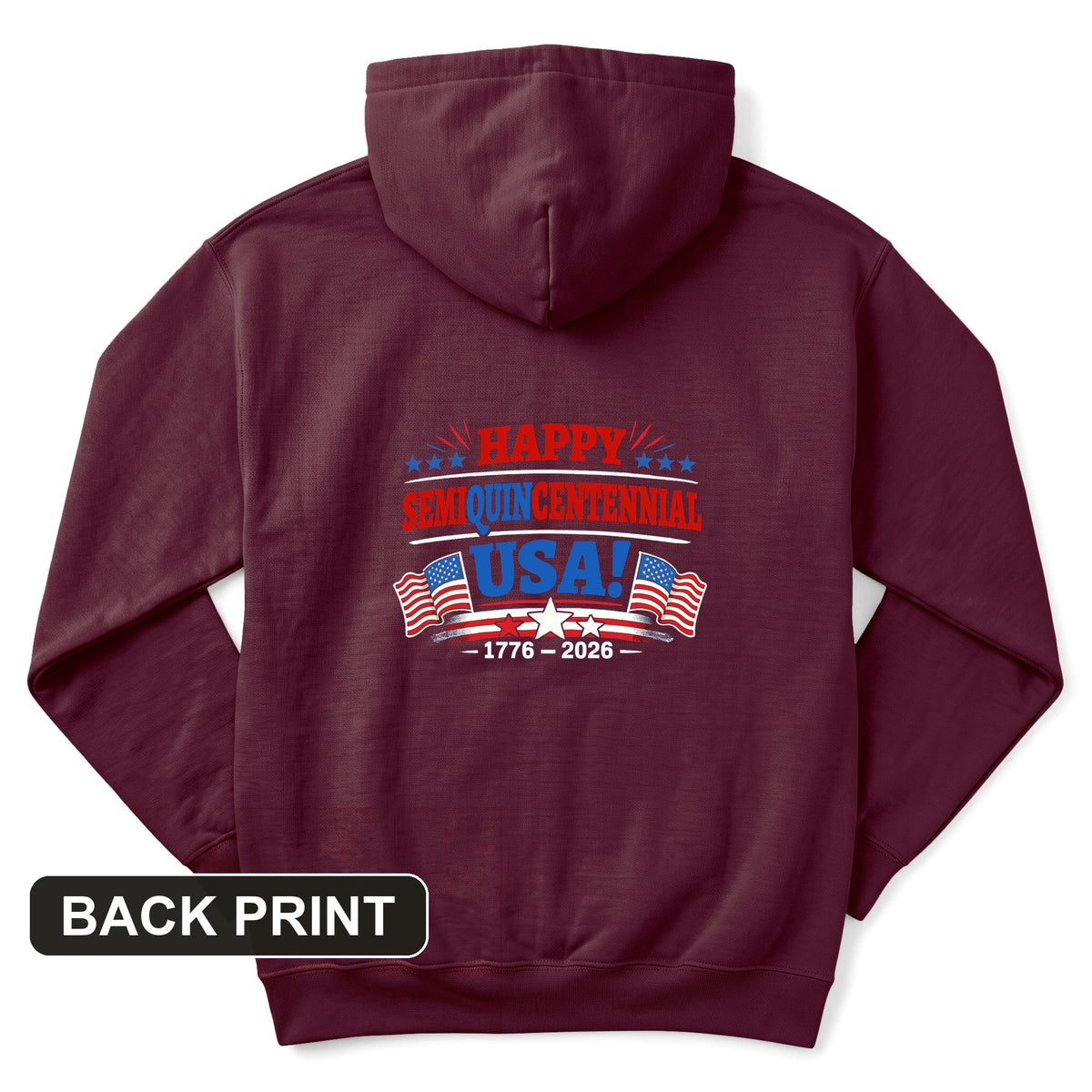 Semiquincentennial Back Print Hoodie