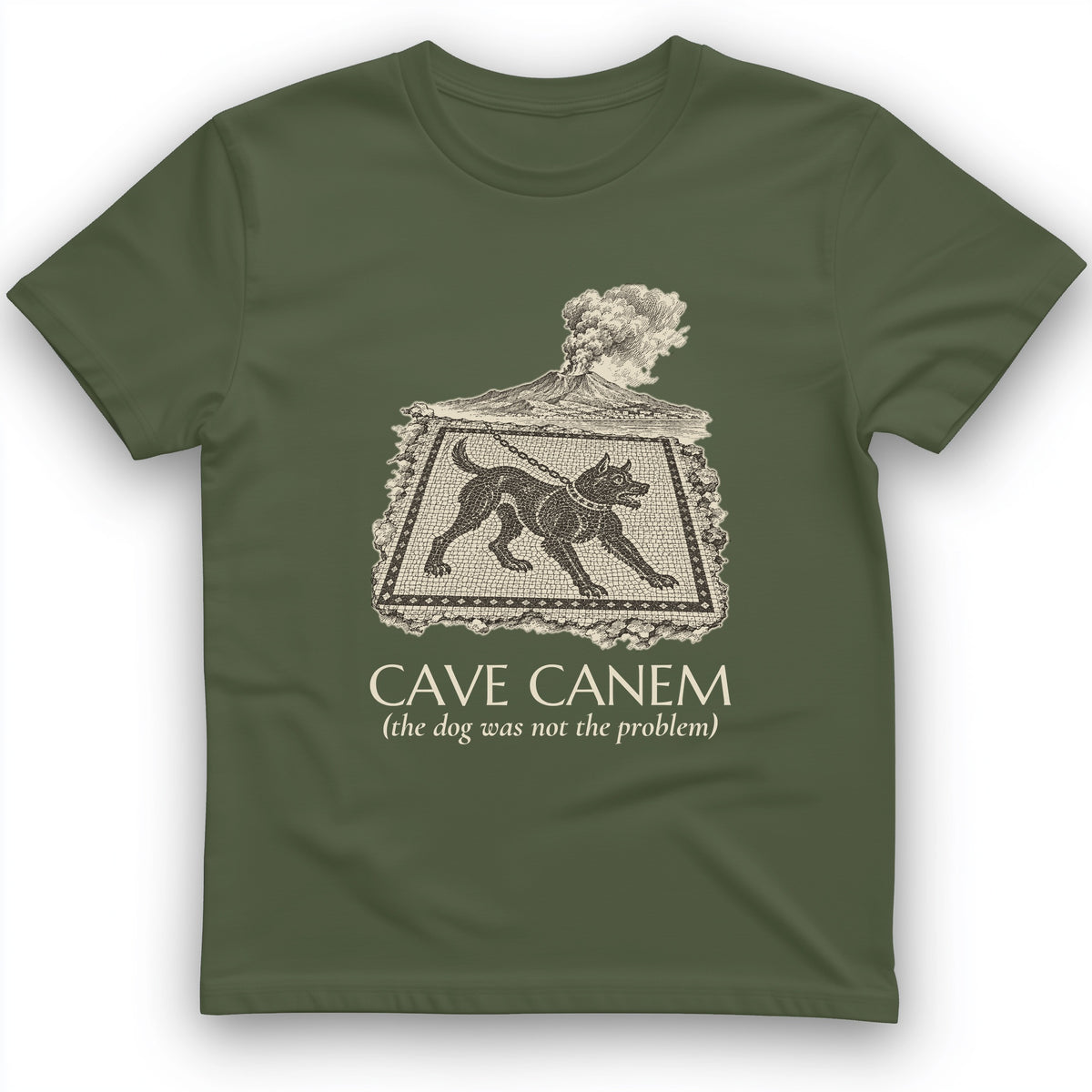Cave Canem The Dog Was Not The Problem T-Shirt