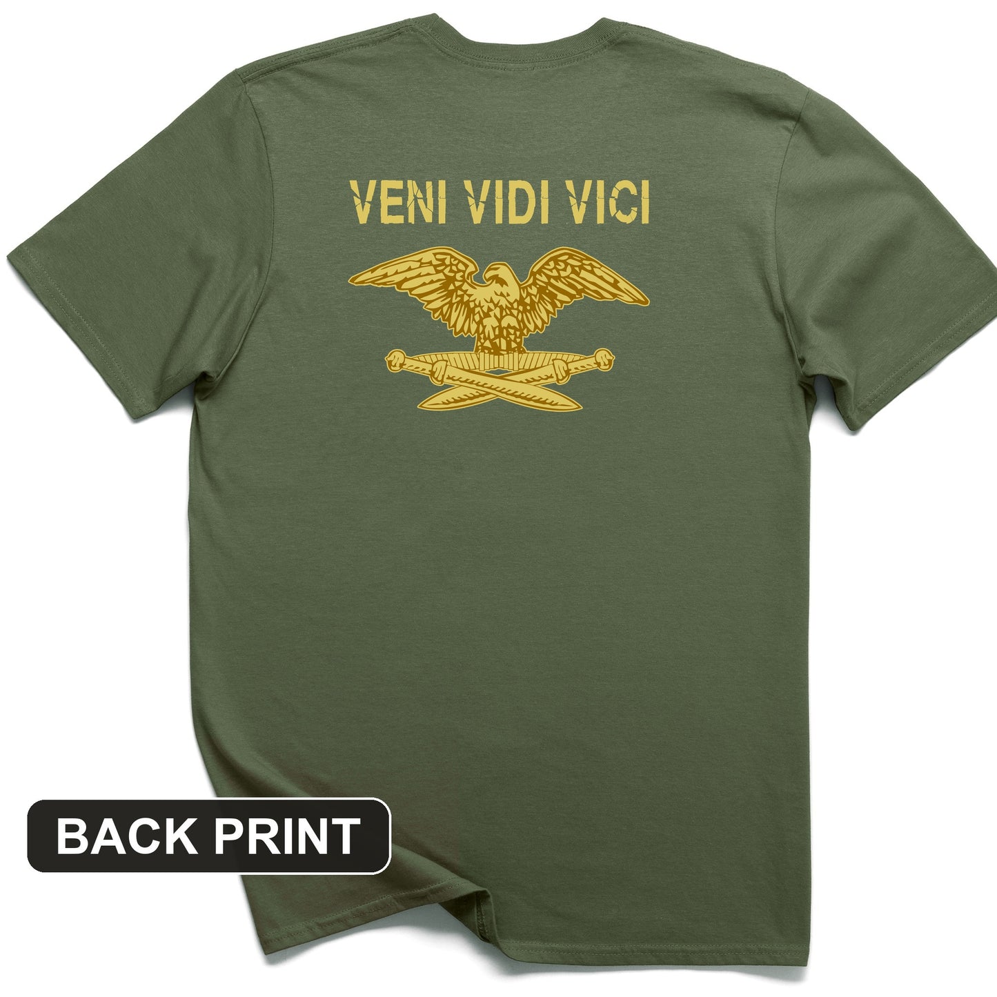 Veni Vidi Vici Back Print T-Shirt
