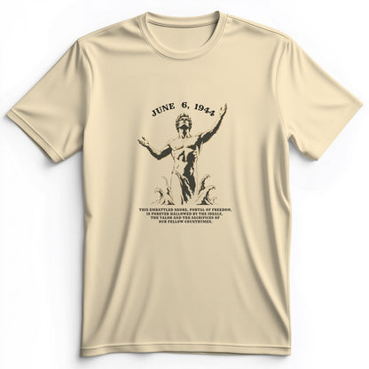 Dday Statue Premium Tee
